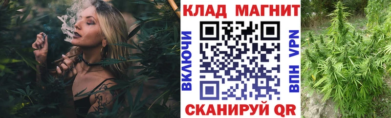 Где найти наркотики Сегежа СОЛЬ  Cocaine  Меф  Конопля  ГАШИШ 