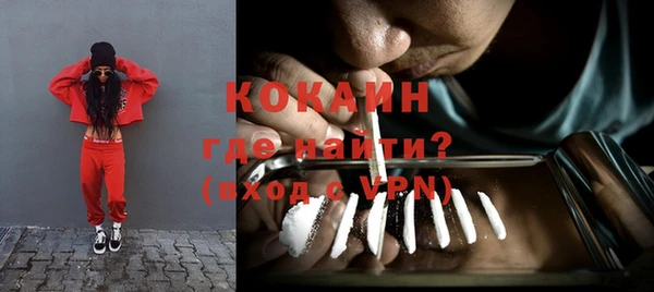 твердый Елизово