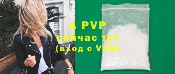амф Покачи